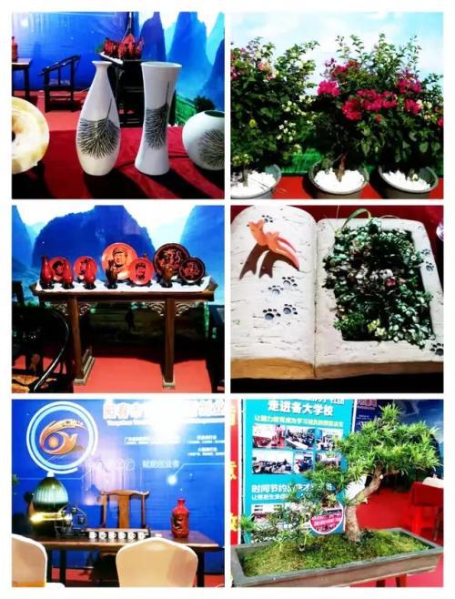 阳春市:抱团推广交流 打造电商“高地”