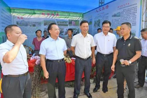 阳春市:抱团推广交流 打造电商“高地”