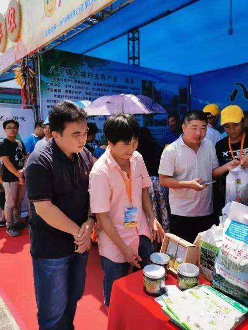 阳春市:抱团推广交流 打造电商“高地”