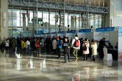 重磅！年薪6万元+岗位7753个 石家庄将举办高层次人才交流洽谈会