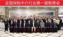 豆包网协办全国保险中介行业第一届联席会，推动行业高质量发展