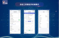 龙伯科技推出100%在线工资报批系统