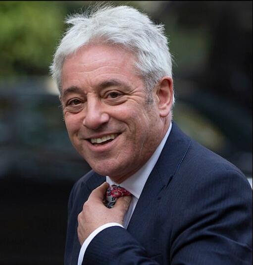 终于“憋不住”了！英国前议长卸任后批脱欧：战后最大外交政策错误