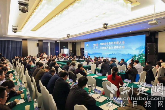 专家积极献智献策 探讨黄冈大健康产业新路径