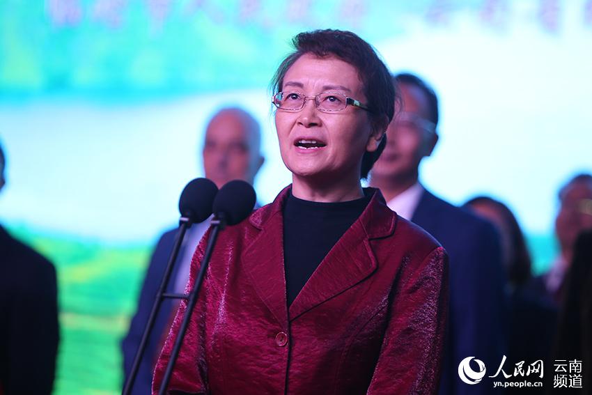 全国电力行业企业社会责任工作研讨会（2019）召开