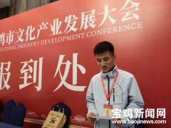 与文化大咖交流，感悟宝鸡之美！文产大会志愿