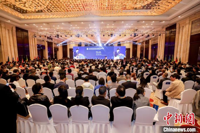 2019金华中非文化合作交流周启幕。主办方提供