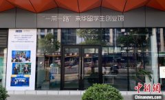 构建国际人才区域驿站 杭州打造“热带雨林式”