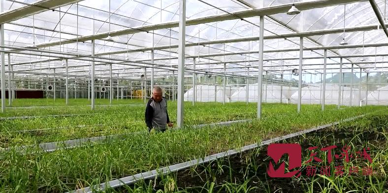 精准扶贫促发展惠民生 | 精准人才扶贫 强化智力协作