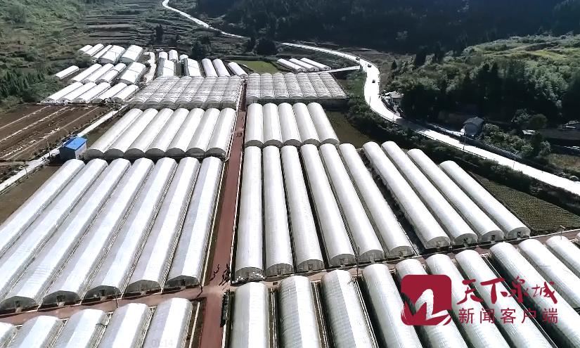 精准扶贫促发展惠民生 | 精准人才扶贫 强化智力协作