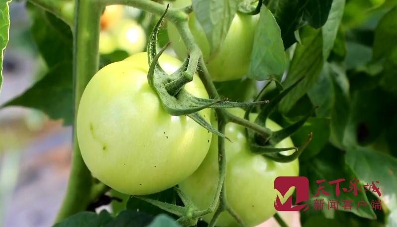 精准扶贫促发展惠民生 | 精准人才扶贫 强化智力协作