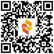 “我们见证了又一个中国奇迹”
