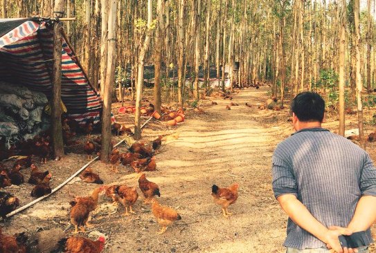 扎根农村提供信贷咨询服务 积木时代助力乡村振兴