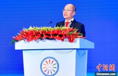 孙大文：促深度融合、创新人才战略提升大湾区