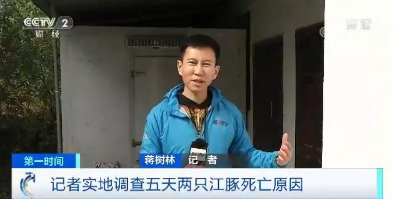 5天2只江豚死亡 实地调查水下的“黑手”到底是啥？