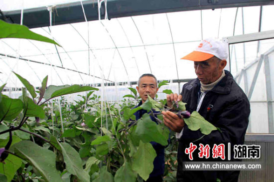 郭继先上门做技术指导。