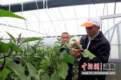 沅江畜牧局长退休不离岗 成百姓信赖的科技专家