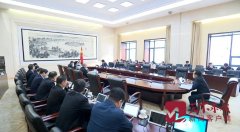 孙述涛主持召开市政府常务会议研究推进职业教育改革发展等工作