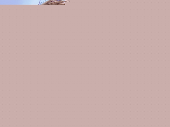 平成最后的奇迹原石 11区美少女十味とーみ美图赏