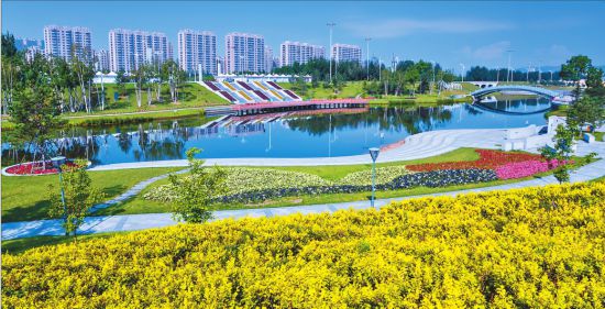 鸡西开展送政策、岗位、技能、资金、信息活动“五送”覆盖城乡助力就业创业