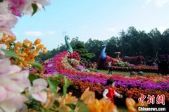 两岸“农博会·花博会”架金桥台农台青“登陆”交流