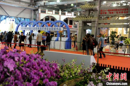 两岸“农博会·花博会”架金桥台农台青“登陆”交流