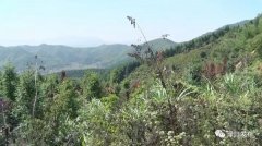 <b>渌口区龙潭镇新燕村：依托党的好政策 脱贫致富</b>