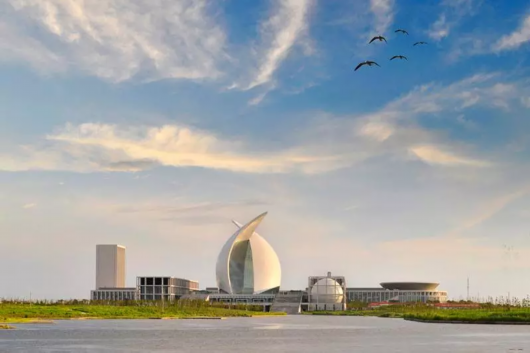 刚刚，临港新片区重磅人才政策发布！