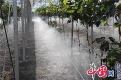 江苏创璟农业科技有限公司落户兴化市兴东镇