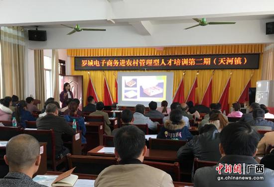 罗城农村电商管理型人才培训在天河镇和纳翁乡