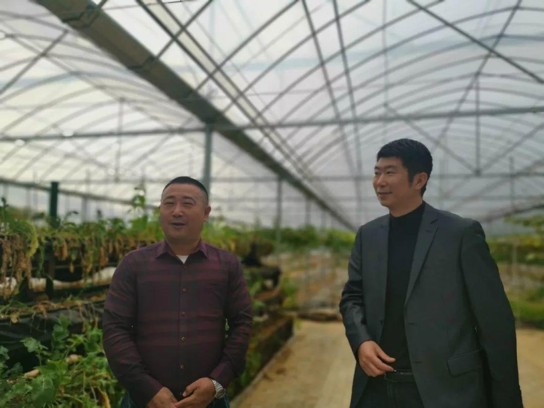 科技特派员陈思宇：外来客变身本地竹木产业“