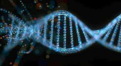 印度科学家发现DNA某些区域可免受辐射伤害