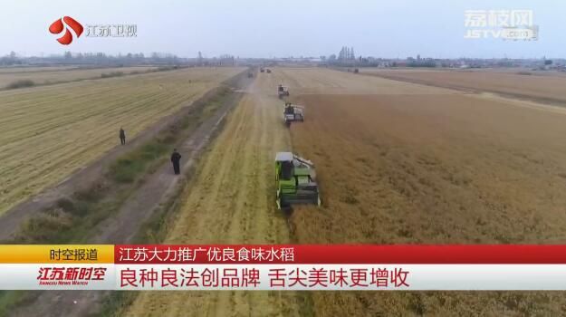 江苏大力推广优良食味水稻 良种良法创品牌 舌尖