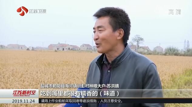 江苏大力推广优良食味水稻 良种良法创品牌 舌尖