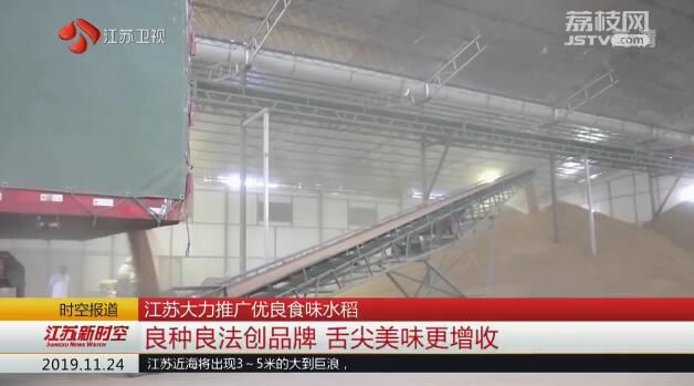江苏大力推广优良食味水稻 良种良法创品牌 舌尖