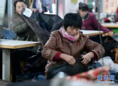 河北魏縣：發展產業防止返貧