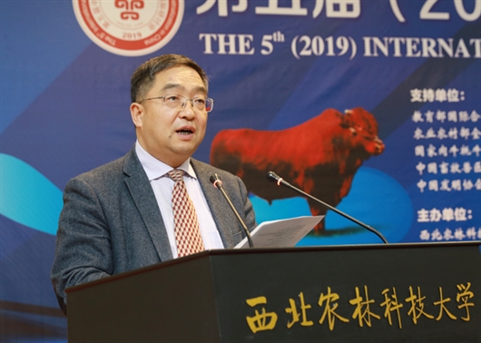 肉牛选育改良与产业发展关键技术研讨会在杨凌