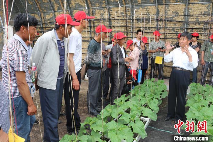 图为科技特派员(右一)为农户讲解种植技术。(资料图) 钟欣 摄