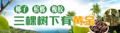 以科技创新走出海南橡胶产业振兴发展新路
