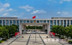 临港新片区揭牌满百日：用政策吸引人 拿事业留住人