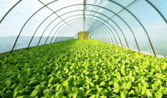 2019-2023年中国智慧养殖产业利好政策