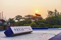 青岛将申办一所新大学！还有这些大项目集中签