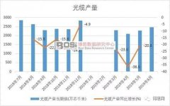 中国光缆市场分析与投资前景研究报告