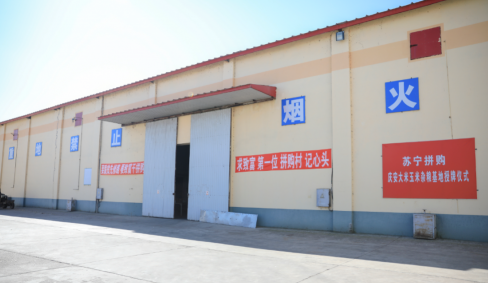 庆安少年和他的“呼兰河稻花传”