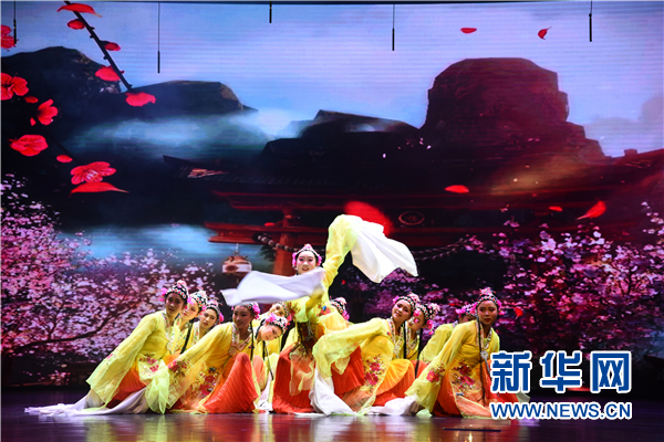 人文南岸 乐满中外 第一届“中外人文交流小使者”器乐类(集体)全国总展示活动举行