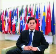 国际组织人才的基本素质