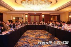 2019西安人工智能产业项目交流洽谈会成功举行