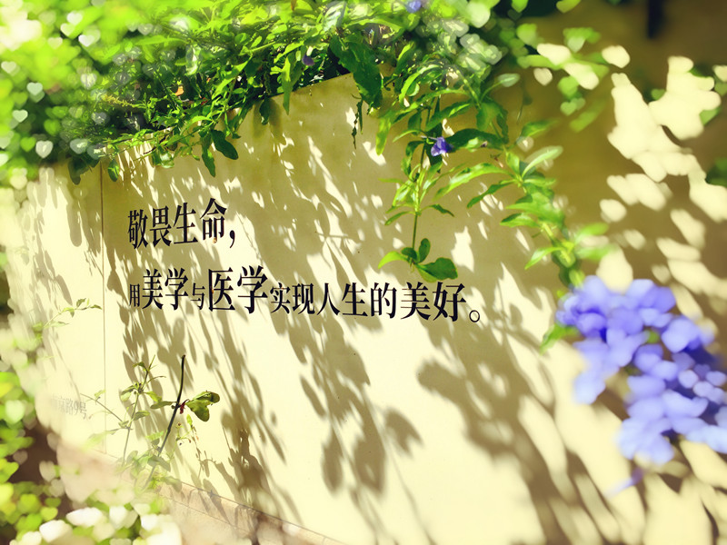 独家揭秘医美行业内幕 ＂黑诊所＂是正规机构的6倍