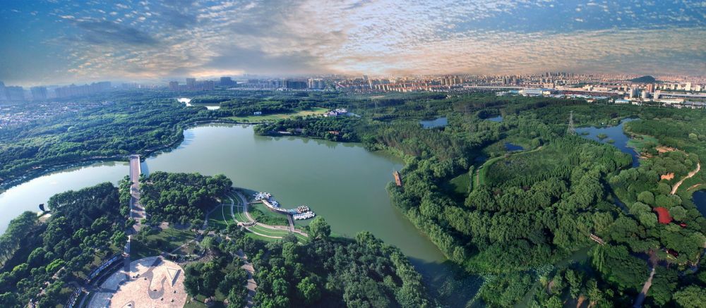 3. 中国华东地区最大的城市生态森林公园