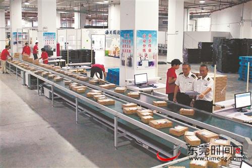 政策红利释放，东莞跨境电商跑出加速度